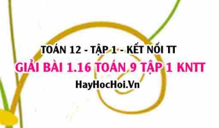 Giải 1.16 Toán 12 tập 1 SGK Kết nối tri thức